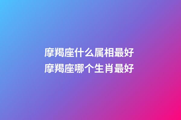 摩羯座什么属相最好 摩羯座哪个生肖最好-第1张-观点-玄机派